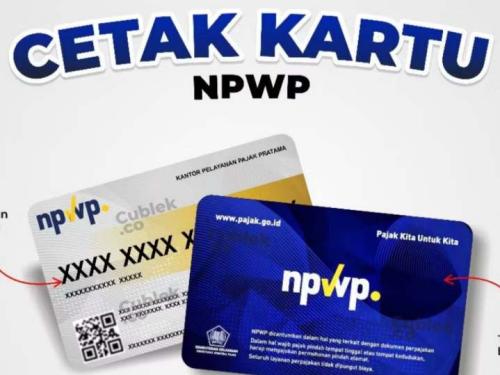 Gampang! Cetak Ulang NPWP Hilang/Rusak via Coretax DJP